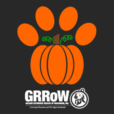 GRROW PET BANDANA WITH DTF PRINTED PAW-MPKIN DESIGN Design