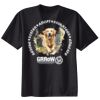 Ladies Perfect T Cotton T Shirt Thumbnail